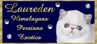 lauredenbanner1.jpg