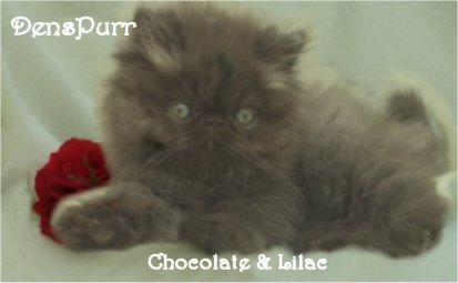 sept-08-banner.jpg